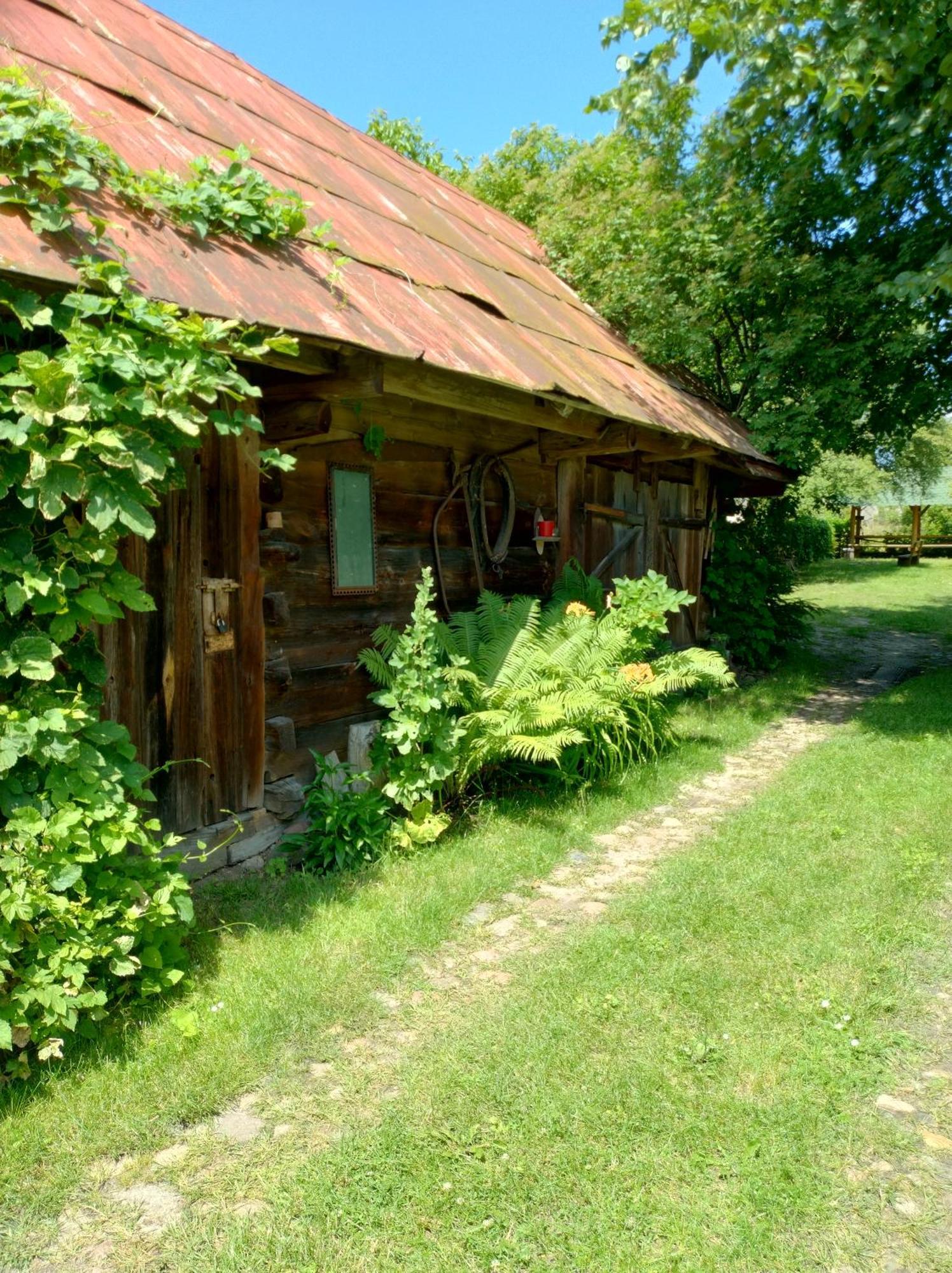 Dom Sloneczko Pokoje Do Wynajecia W Bialowiezy Białowieża Esterno foto