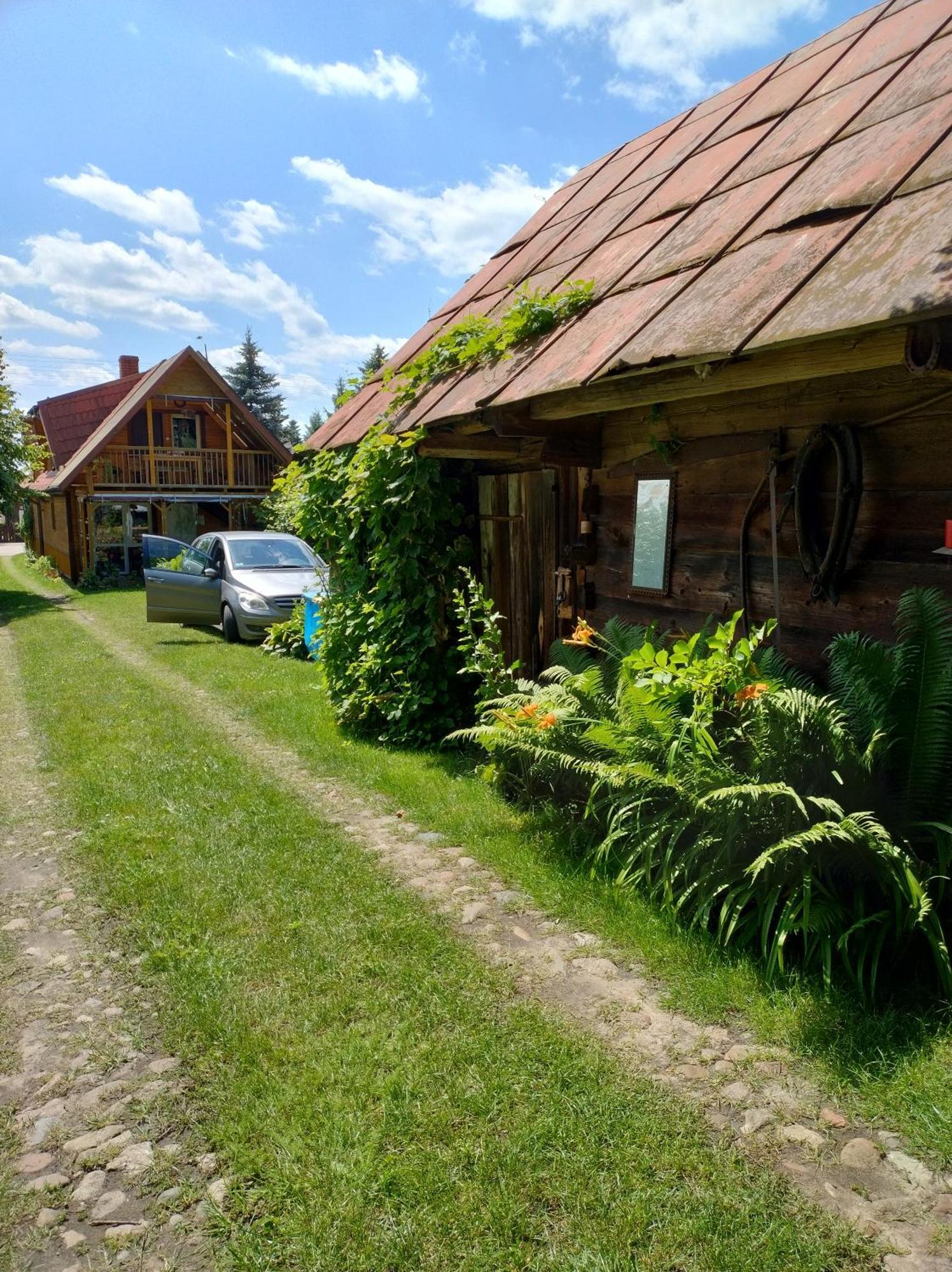 Dom Sloneczko Pokoje Do Wynajecia W Bialowiezy Białowieża Esterno foto